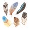Watercolor boho colorful feathers collection
