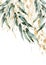 Watercolor border of gold eucalyptus branches, seeds and linear leaves. Hand painted card of plants isolated on white