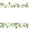 Watercolor border with green olive berries and branch. Hand painted botanical banner with olives isolated on white