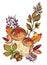 Watercolor botanical autumn and fall forest elements set hand pa