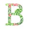 Watercolor botanical drop cap letter B in retro style with succulents, flowers, kalanchoe and sweetheart