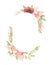 Watercolor botanical illustration. Oval Frame with Pink dog-rose blossom Gentle rose, bud, branches and green leaves. Spring