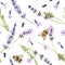 Watercolor botanical illustration. Seamless pattern of purple lavender wild flowers and bumblebees. Fragrant field herb