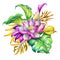 Watercolor botanical illustration, tropical flowers, pink oriental lotus, floral arrangement, wild jungle nature, palm leaves