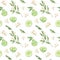 Watercolor botanical illustrations. Seamless pattern with bergamot blossom and fruit. Citrus bergamia flowers, fruit and leaves
