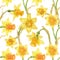 Watercolor botanical realistic floral pattern with narcissus