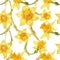 Watercolor botanical realistic floral pattern with narcissus