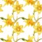 Watercolor botanical realistic floral pattern with narcissus