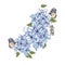 Watercolor bouquet with flowers of plumbago and butterfly.