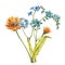Watercolor bouquet Forget-me-not flowers and Calendula. Wild flower set isolated on white. Botanical watercolor