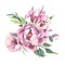 Watercolor Bouquet of peony and blosom flowers isolate in white background for wedding, invitation, valentine cards and prints