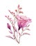 Watercolor bouquet. Transparent eustoma flower with delicate branches isolated on white. Hand painted vintage artwork