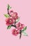 Watercolor branch sakura. Floral pattern for design.