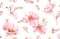 Watercolor Briar flowers seamless pattern. Botanic hand drawn illustration. Rose leaves, buds and ink leaves on white