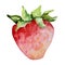 Watercolor bright strawberry