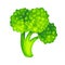 Watercolor bright stylized green broccoli vegetable. Hand drawn illustration isolated on a white background