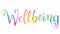 Watercolor brush calligraphy concept word WELLBEING