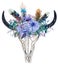 Watercolor bull scull with flowers and feathers