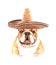 Watercolor Bulldog with Mexican hat layer path.