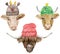 Watercolor bulls in knitted hats. Hand drawn illustration of dressed cows. Horned bulls with funny hats