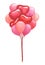 Watercolor bunch of festive pink and red balloons