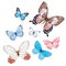 Watercolor butterflies vector set