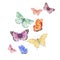 Watercolor Butterfly