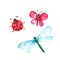 Watercolor butterfly, dragonfly and lady bug on white background.