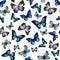 Watercolor butterfly seamless pattern hand drawn texture