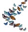 Watercolor butterflyes on the white background.es