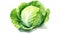 Watercolor cabbage isolated on white background. Generative AI