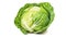 Watercolor cabbage isolated on white background. Generative AI