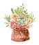 Watercolor Cacti and Succulents in pot bag sack.