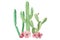 Watercolor Cactus Green Pink Flowers Cacti Arrangement Bouquet