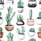 Watercolor cactus in pot tropical garden seamless pattern.