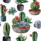 Watercolor cactus seamless pattern. Hand painted cereus, echeveria, echinocactus grusonii with green and blue succulent