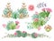 Watercolor cactus and succulent plants foliage botanical elements bouquet decorate for your projects, greeting cards ,textile