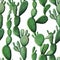 Watercolor cactus tropical garden seamless pattern.