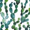 Watercolor cactus tropical garden seamless pattern. Watercolour cactus