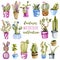 Watercolor cactuses in a pots illustrations set