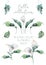 Watercolor calla beauty flowers. Hand drawn Illustration, elegant painting isolated clip art on white background