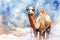 watercolor Camel Watercolor realistic camel desert