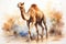 watercolor Camel Watercolor realistic camel desert