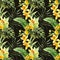 Watercolor canna flowers pattern