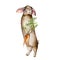 Watercolor card with bunny and carrots. Hand painted brown rabbit with carrots isolated on a white background. Easter