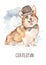 Watercolor card with cute welsh corgi in hat with bow tie, gentleman of England