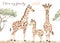 Watercolor card with giraffe family, mom, dad, kid, illustration, safari, savanna