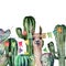 Watercolor card with llama looks out from the thickets of the cactus bushes. Hand painted illustration with floral and