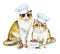 Watercolor card with two cats in chef`s caps, bowl with food and