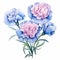 Watercolor Carnation Arrangement: Blue And Pink Flowers Clipart